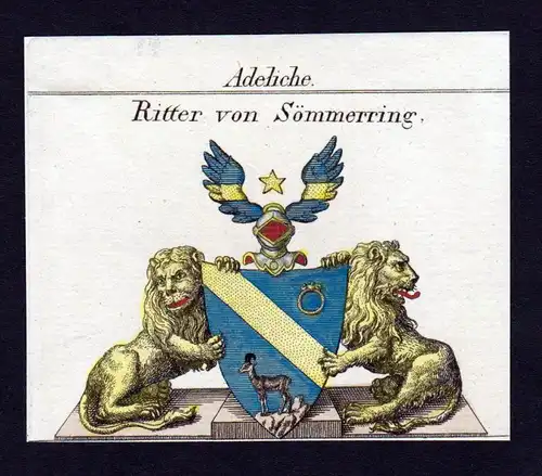 Adeliche Ritter von Sömmerring - Sömmerring Wappen Adel coat of arms heraldry Heraldik Kupferstich