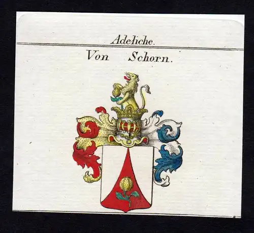 Adeliche von Schorn - Schorn Wappen Adel coat of arms heraldry Heraldik Kupferstich