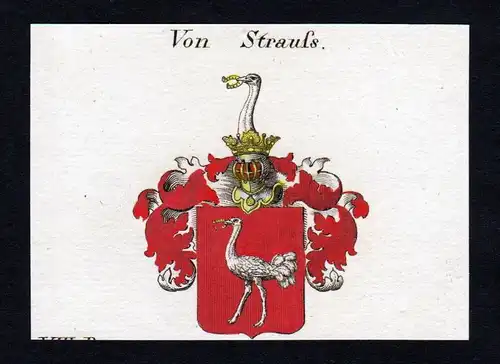 von Strauss - Strauss Strauß Wappen Adel coat of arms heraldry Heraldik Kupferstich