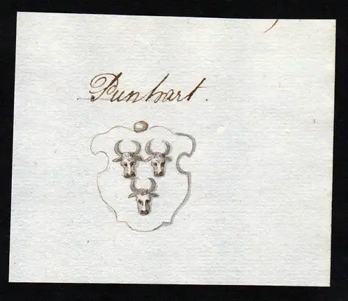 Punhart - Punhart Handschrift Manuskript Wappen manuscript coat of arms
