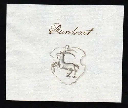 Punhart - Punhart Handschrift Wappen Manuskript manuscript coat of arms