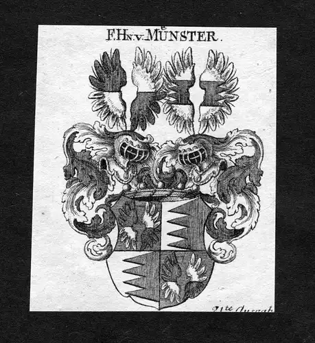Münster - Münster Mönster Monster Wappen Adel coat of arms heraldry Heraldik Kupferstich