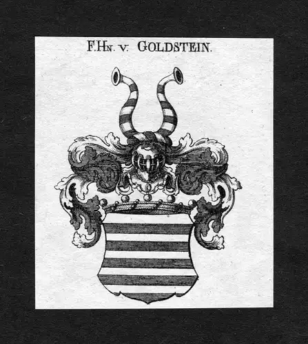 Goldstein - Goldstein Goltstein Wappen Adel coat of arms heraldry Heraldik Kupferstich