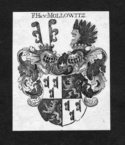 Mollowitz - Mollowitz Wappen Adel coat of arms heraldry Heraldik Kupferstich