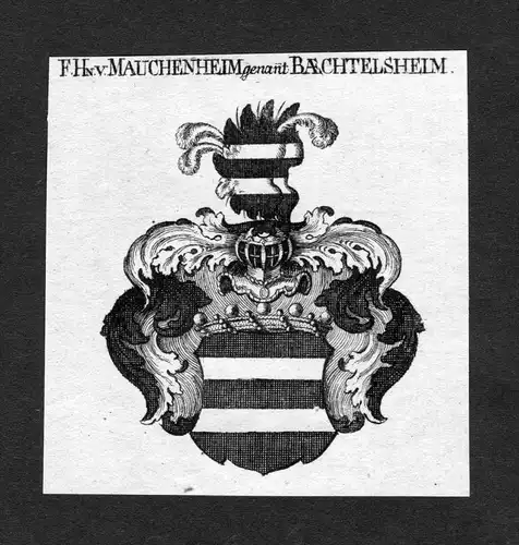 Mauchenheim genannt Baechtelsheim - Mauchenheim Bechtolsheim Wappen Adel coat of arms heraldry Heraldik Kupfer