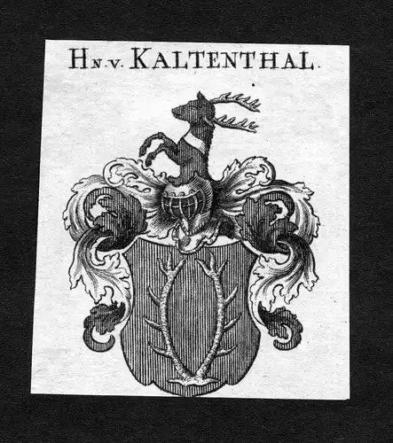Kaltenthal - Kaltenthal Kaldenthal Wappen Adel coat of arms heraldry Heraldik Kupferstich
