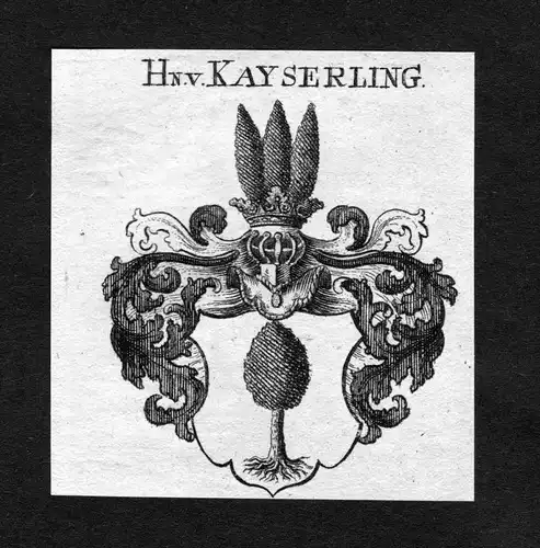 Kayserling - Kayserling Keyserling Keyserlingk Wappen Adel coat of arms heraldry Heraldik Kupferstich