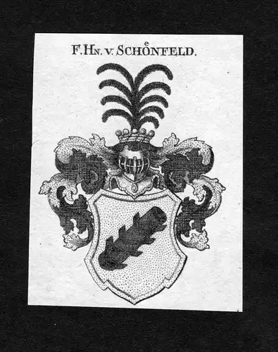 Schönfeld - Schönfeld Schoenfeld Schönfeldt Schoenfeldt Wappen Adel coat of arms heraldry Heraldik Kupferst