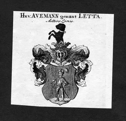 Avemann genant Letta - Avemann Letta Wappen Adel coat of arms heraldry Heraldik Kupferstich