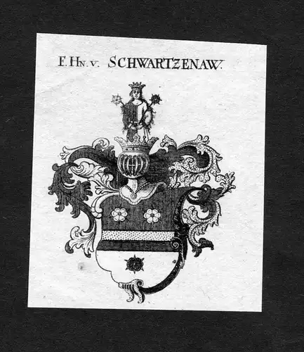 Schwartzenaw - Schwartzenaw Schwarzenau Wappen Adel coat of arms heraldry Heraldik Kupferstich
