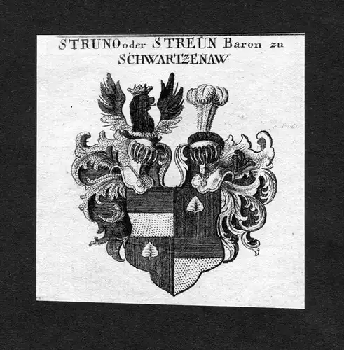 Struno oder Streün zu Schwartzenaw - Streun Schwartzenaw Schwarzenau Wappen Adel coat of arms heraldry Herald