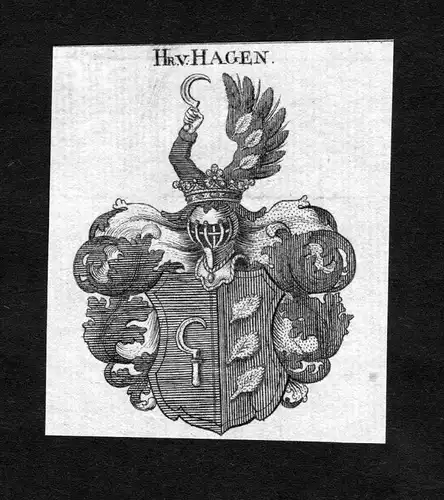 Hagen - Hagen Wappen Adel coat of arms heraldry Heraldik Kupferstich