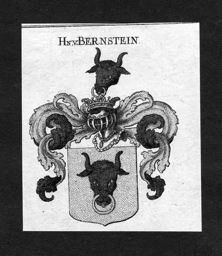 Bernstein - Bernstein Wappen Adel coat of arms heraldry Heraldik Kupferstich