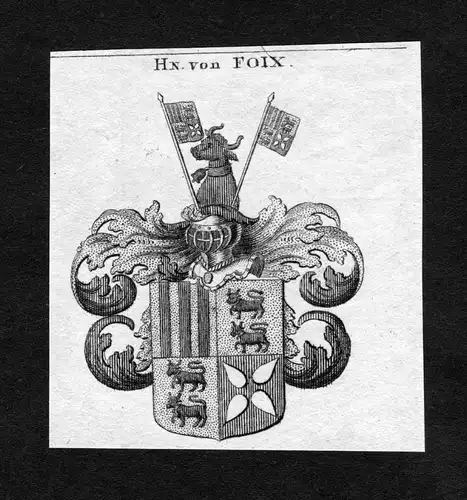 Foix - Foix Wappen Adel coat of arms heraldry Heraldik Kupferstich