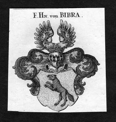 Bibra - Bibra Wappen Adel coat of arms heraldry Heraldik Kupferstich