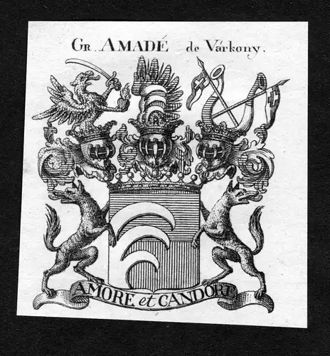 Amadè de Vàrkony - Amadè de Vàrkonyi Wappen Adel coat of arms heraldry Heraldik Kupferstich
