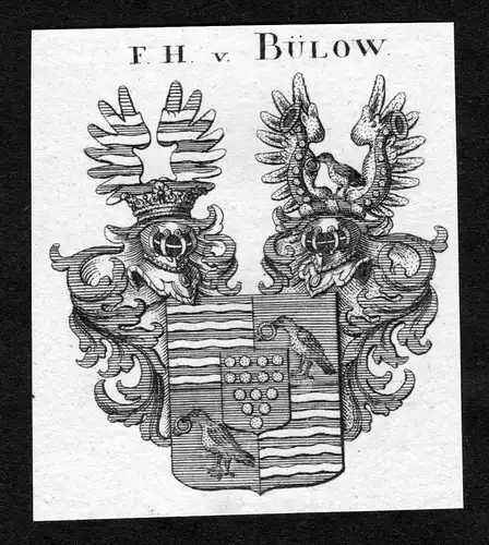 Bülow - Bülow Buelow Wappen Adel coat of arms heraldry Heraldik Kupferstich