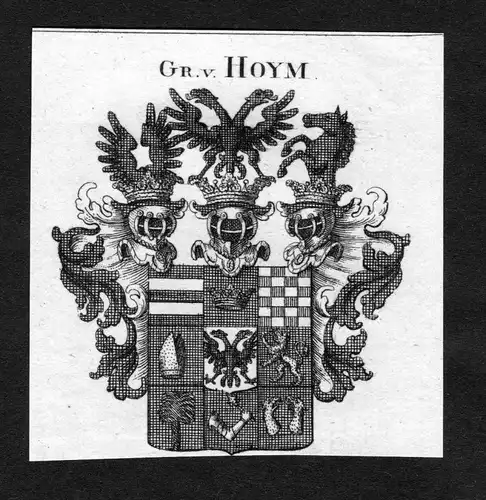 Hoym - Hoym Wappen Adel coat of arms heraldry Heraldik Kupferstich