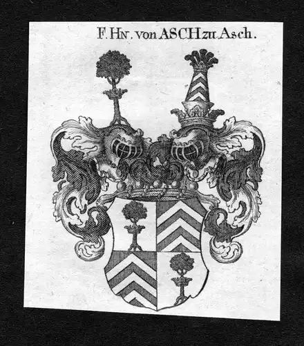 Asch zu Asch - Asch zu Asch Wappen Adel coat of arms heraldry Heraldik Kupferstich