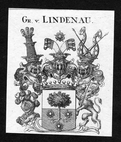 Lindenau - Lindenau Wappen Adel coat of arms heraldry Heraldik Kupferstich