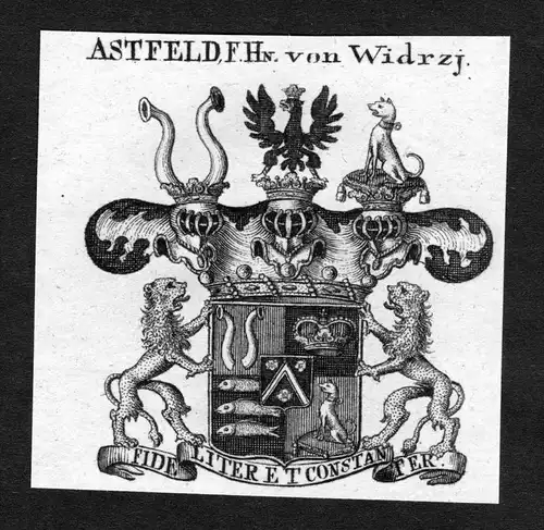 Astfeld von Widrzj - Astfeld von Widrzj Wappen Adel coat of arms heraldry Heraldik Kupferstich
