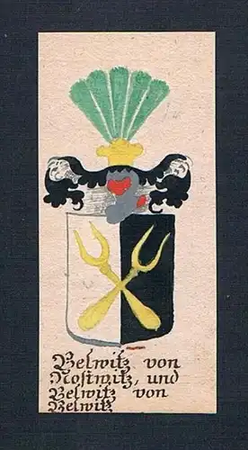 Belwitz von Kostwitz, und Belwitz von Belwitz - Beulwitz von Kottwitz von Beulwitz Böhmen Manuskript Wappen A