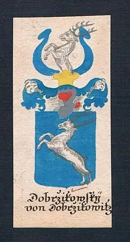 Dobrzitowsky von Dobrzitowitz - Dobrzitowsky von Dobrzitowitz Böhmen Manuskript Wappen Adel coat of arms hera