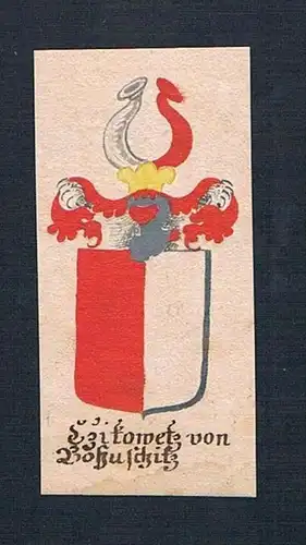 Czitowetz von Bohuschitz - Czitowetz von Bohuschitz Böhmen Manuskript Wappen Adel coat of arms heraldry Heral