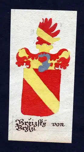 Brzizky von Brzizi - Brzizky von Brziz Böhmen Manuskript Wappen Adel coat of arms heraldry Heraldik