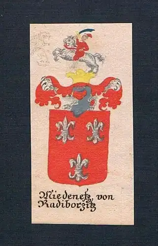 Niedernetz von Radiborzitz - Niedernetz von Radiborzitz Böhmen Manuskript Wappen Adel coat of arms heraldry H
