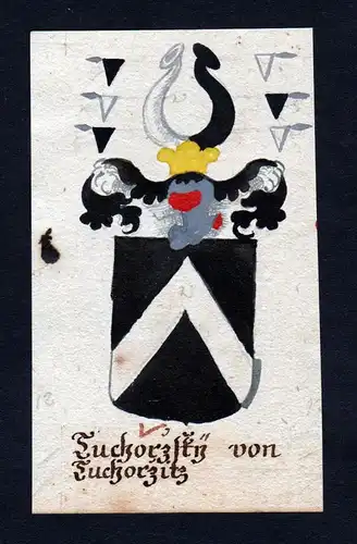 Tuchorzsky von Tuchorzitz - Tuchorzsky von Tuchorzitz Böhmen Manuskript Wappen Adel coat of arms heraldry Her