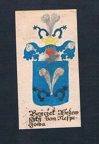 Beyczet Welewschky von Nespeczowa - Beyczet Welewschky von Nespeczowa Böhmen Manuskript Wappen Adel coat of a