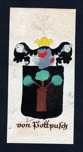 von Pottpusch - von Pottpusch Böhmen Manuskript Wappen Adel coat of arms heraldry Heraldik