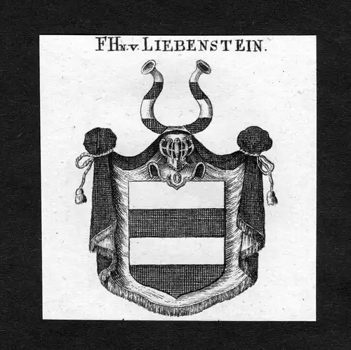 Liebenstein - Liebenstein Wappen Adel coat of arms heraldry Heraldik Kupferstich