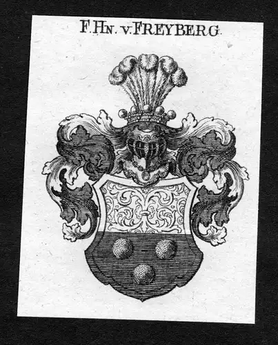 Freyberg - Freyberg Wappen Adel coat of arms heraldry Heraldik Kupferstich