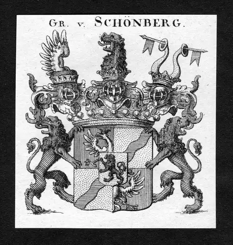 Schönberg - Schönberg Schoenberg Wappen Adel coat of arms heraldry Heraldik Kupferstich
