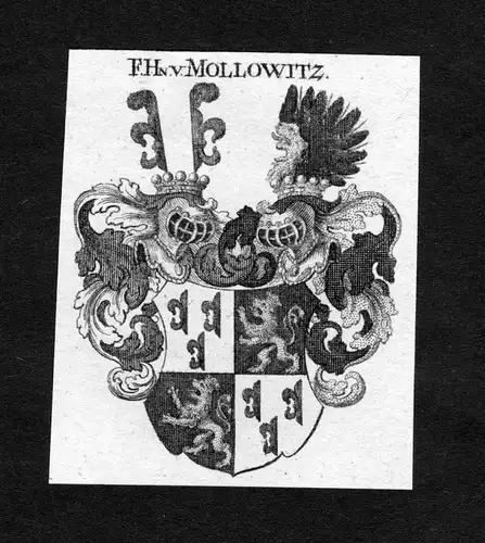 Mollowitz - Mollowitz Wappen Adel coat of arms heraldry Heraldik Kupferstich