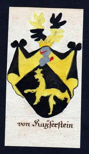 von Kayserstein - von Kayserstein Böhmen Manuskript Wappen Adel coat of arms heraldry Heraldik