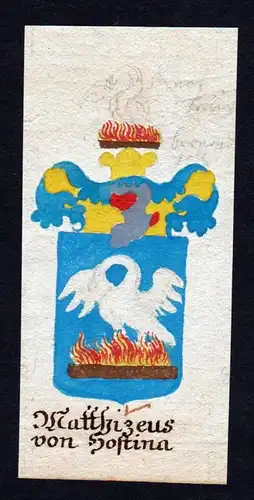 Matthizeus von Hostina - Matthieus Hostina Böhmen Manuskript Wappen Adel coat of arms heraldry Heraldik