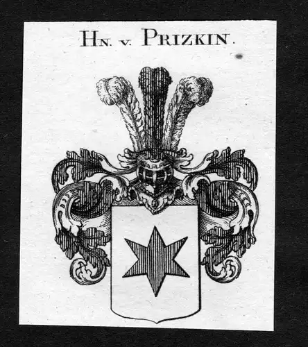 Prizkin - Prizkin Wappen Adel coat of arms heraldry Heraldik Kupferstich