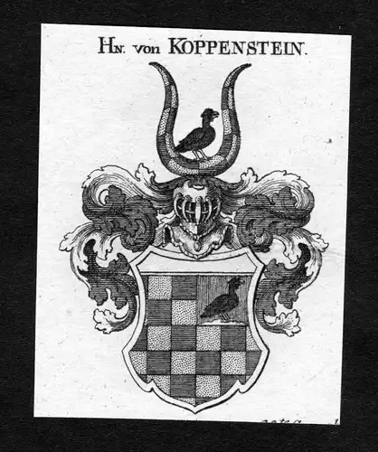 Koppenstein - Koppenstein Koppensteiner Wappen Adel coat of arms heraldry Heraldik Kupferstich
