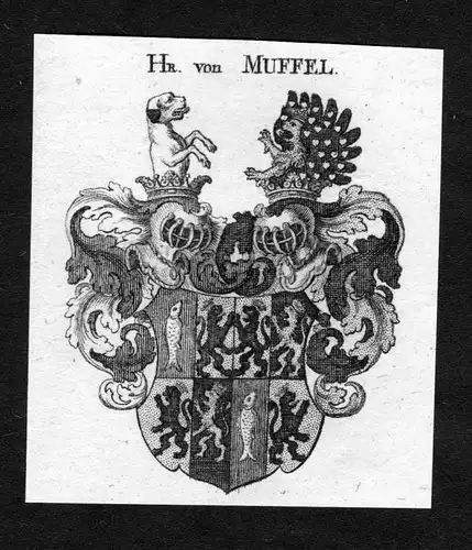 Muffel - Muffel Wappen Adel coat of arms heraldry Heraldik Kupferstich