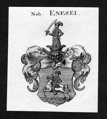 Enesel - Enesel Wappen Adel coat of arms heraldry Heraldik Kupferstich