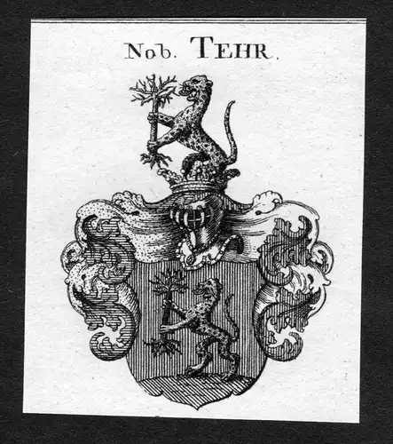 Tehr - Tehr Wappen Adel coat of arms heraldry Heraldik Kupferstich
