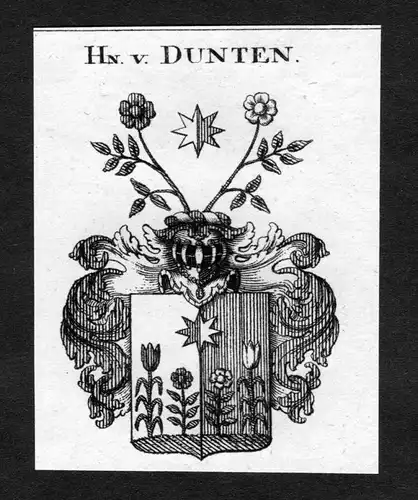 Dunten -  Dunten Wappen Adel coat of arms heraldry Heraldik Kupferstich