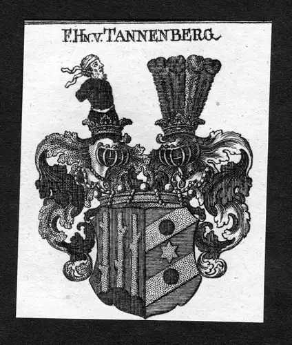 Tannenberg - Tannenberg Dannenberg Wappen Adel coat of arms heraldry Heraldik Kupferstich