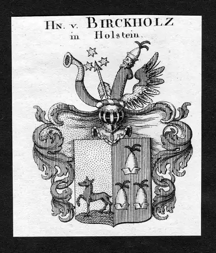 Birckholz - Birckholz in Holstein Wappen Adel coat of arms heraldry Heraldik Kupferstich