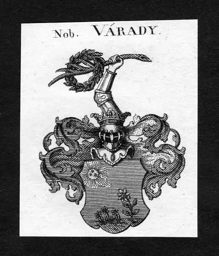Varady - Varady Wappen Adel coat of arms heraldry Heraldik Kupferstich