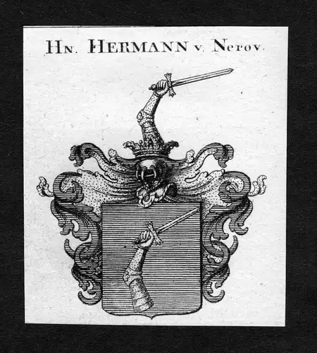 Hermann von Nerov -  Hermann von Nerov Wappen Adel coat of arms heraldry Heraldik Kupferstich