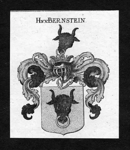 Bernstein - Bernstein Wappen Adel coat of arms heraldry Heraldik Kupferstich